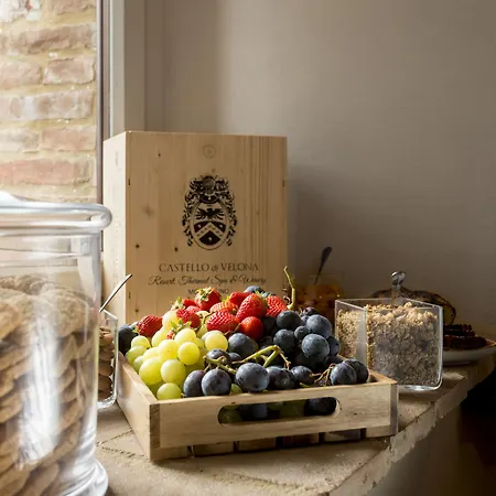 Castello Di Velona Resort, Thermal Spa&winery Montalcino