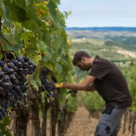 Hotel Castello Di Velona Resort, Thermal & Winery 5*