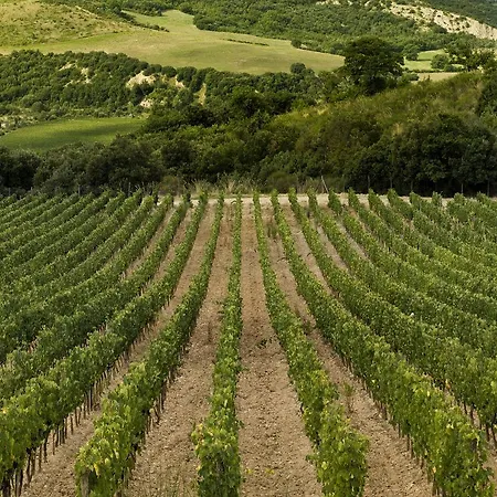 Hotel Castello Di Velona Resort, Thermal & Winery 5*